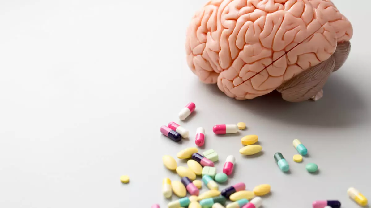 how drugs impact the brain