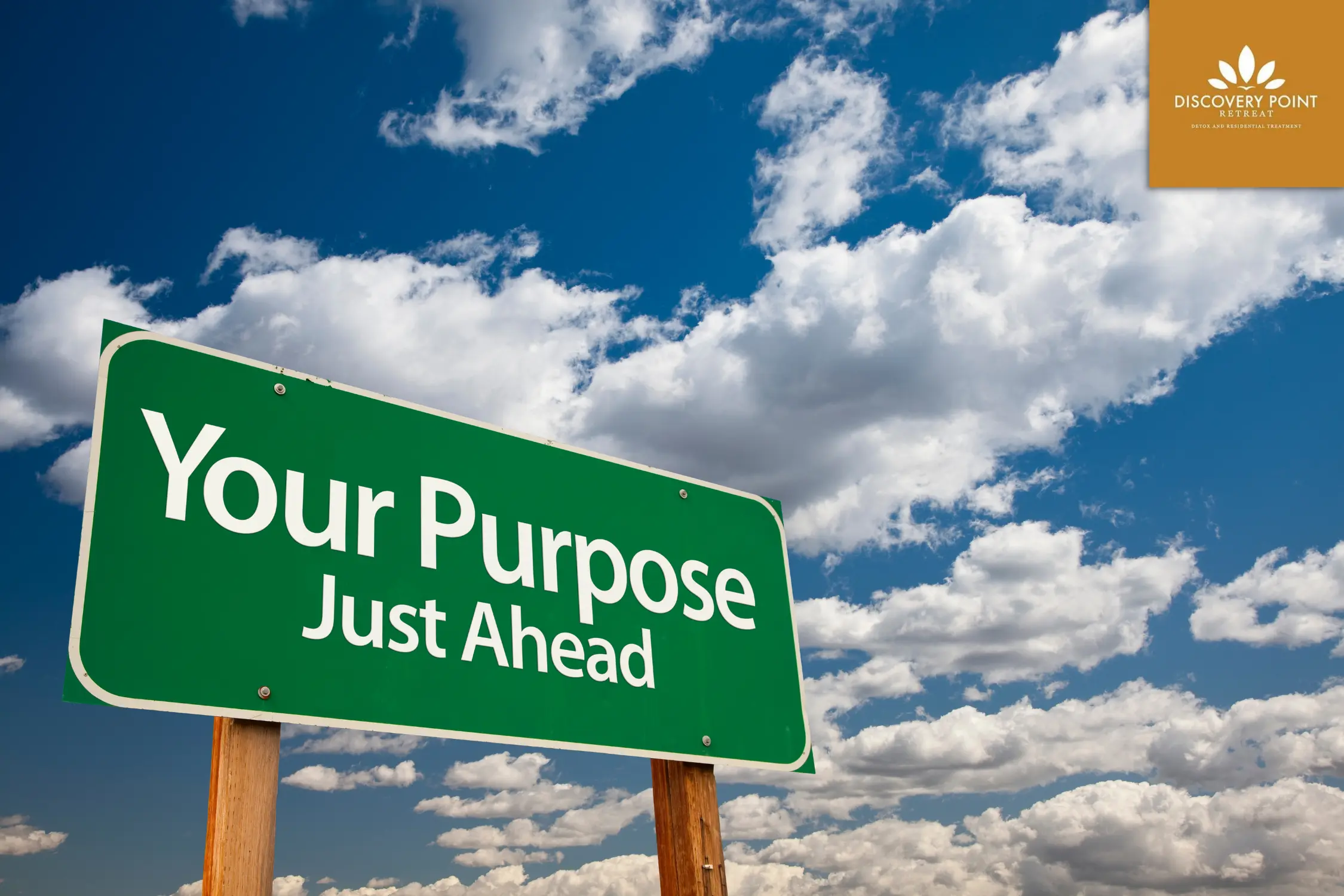 finding purpose in addiction recovery