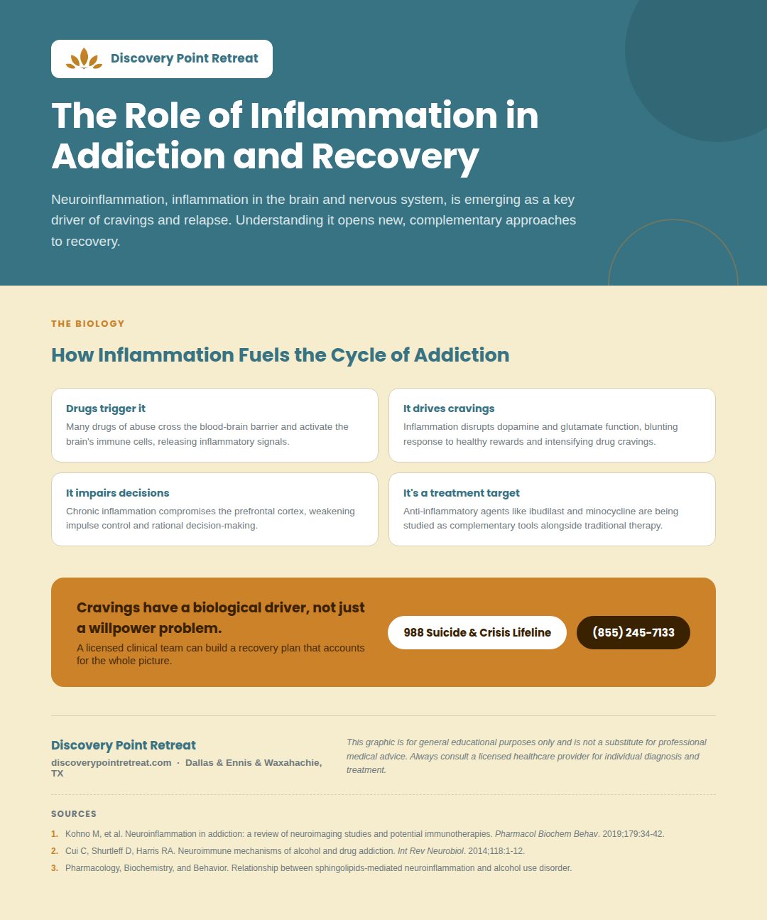 12_inflammation_addiction_recovery - Discovery Point Retreat 12_inflammation_addiction_recovery