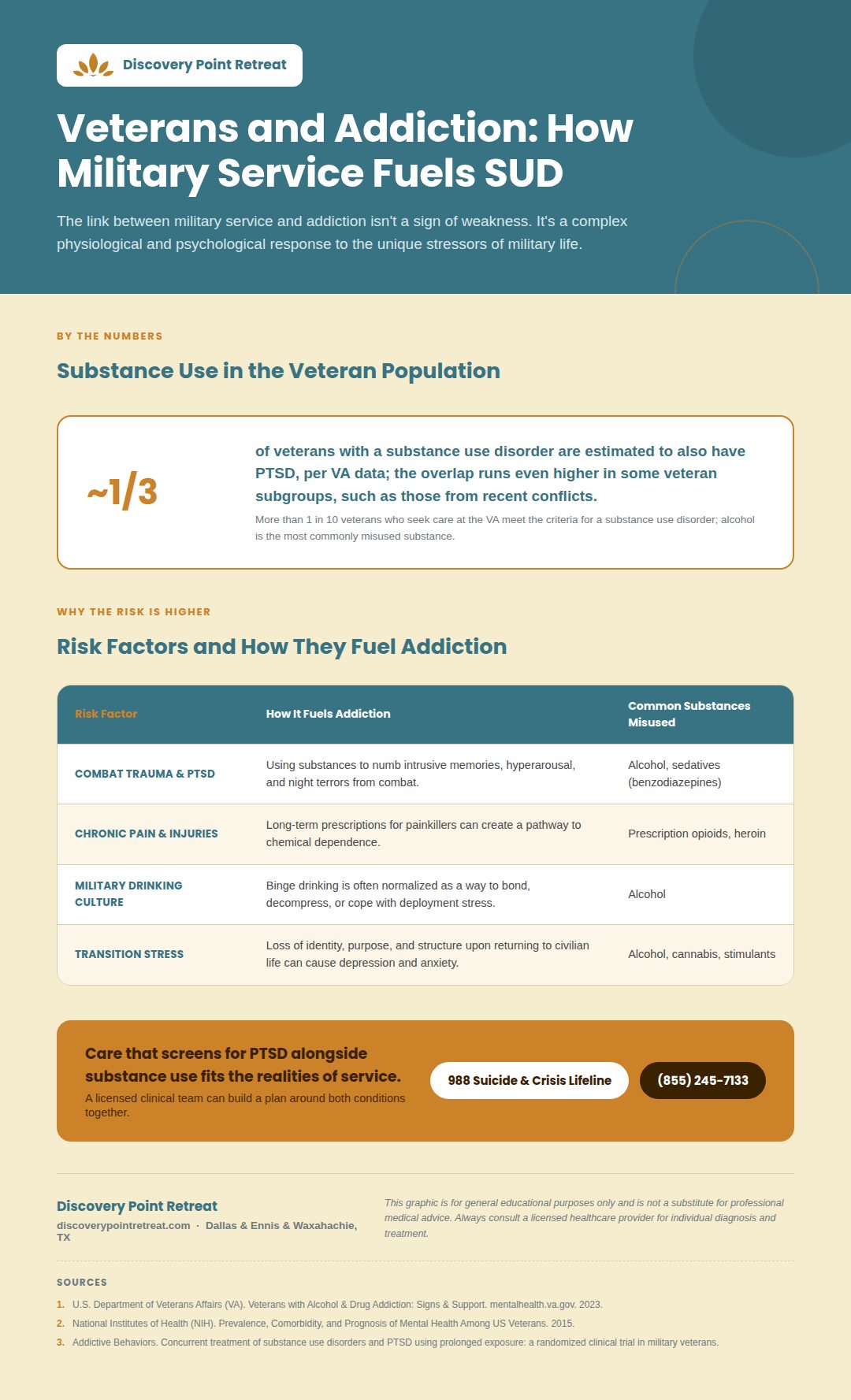 13_veterans_addiction