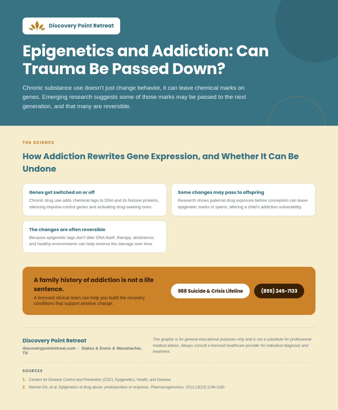33_epigenetics_addiction - Discovery Point Retreat 33_epigenetics_addiction