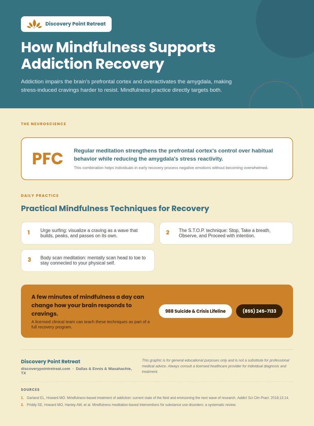 34_mindfulness_addiction