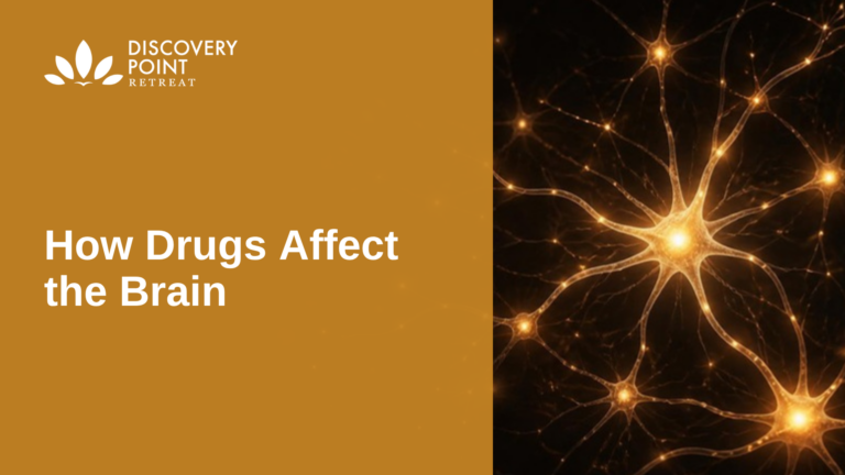 How Drugs Affect the Brain, Discovery Point Retreat
